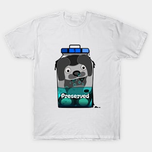 A beloved childhood companion T-Shirt